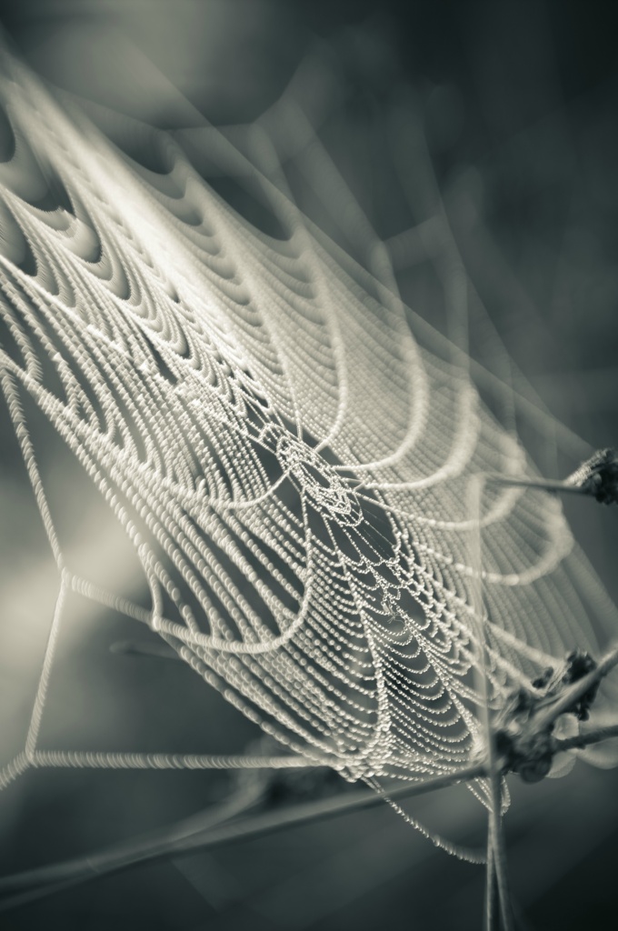 Web zw (Emst)